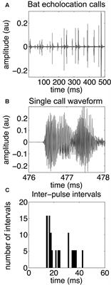 Spike Train Similarity Space (SSIMS) Method Detects Effects of Obstacle Proximity and Experience on Temporal Patterning of Bat Biosonar